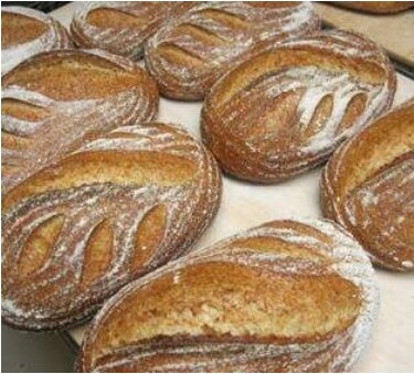 Pan Masa Madre